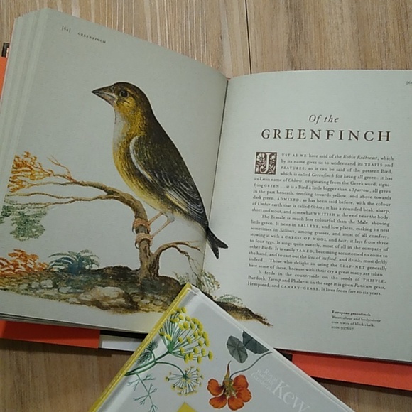 2/$30 - 🪶Pasta for Nightingales - Illustrated Stories🪶 - Picture 3 of 4